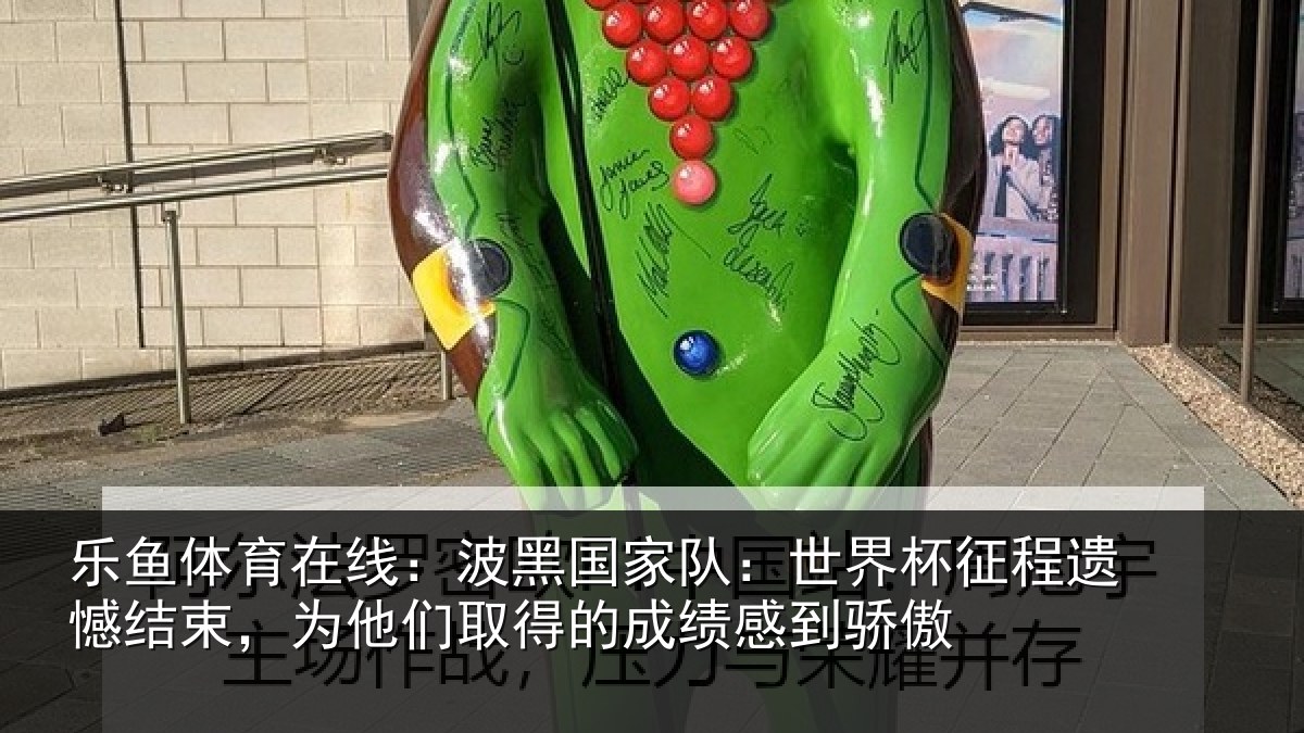 乐鱼体育在线:波黑相关情况遗憾结束,为他们相关情况傲