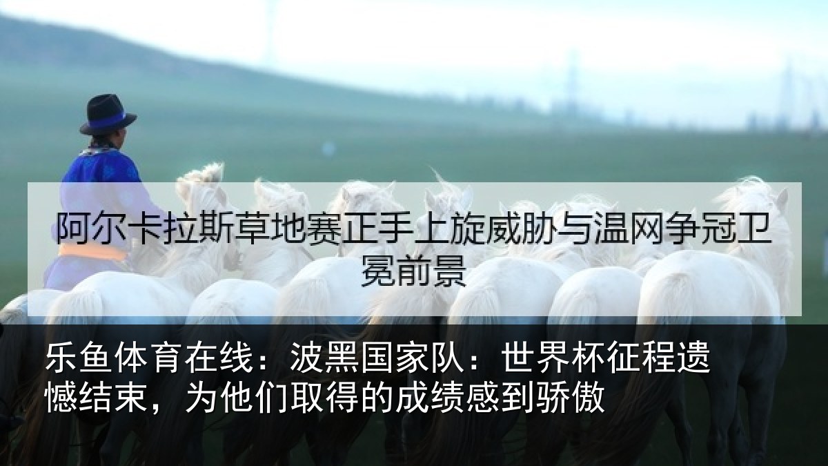 乐鱼体育在线:波黑相关情况遗憾结束,为他们相关情况傲