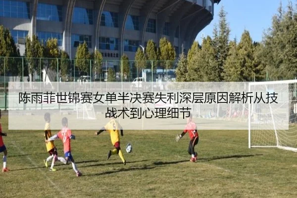 chen-yu-fei-shi-jin-sai-nv-dan-ban-jue-sai-shi-li-shen-ceng-yuan-yin-jie-xi-cong-ji-zhan-shu-dao-xin-li-xi-jie-2-694.jpg