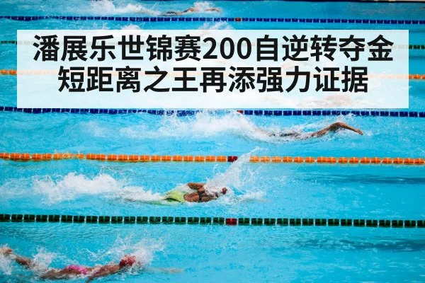 swimming competition freestyle