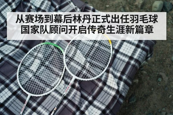badminton racket closeup